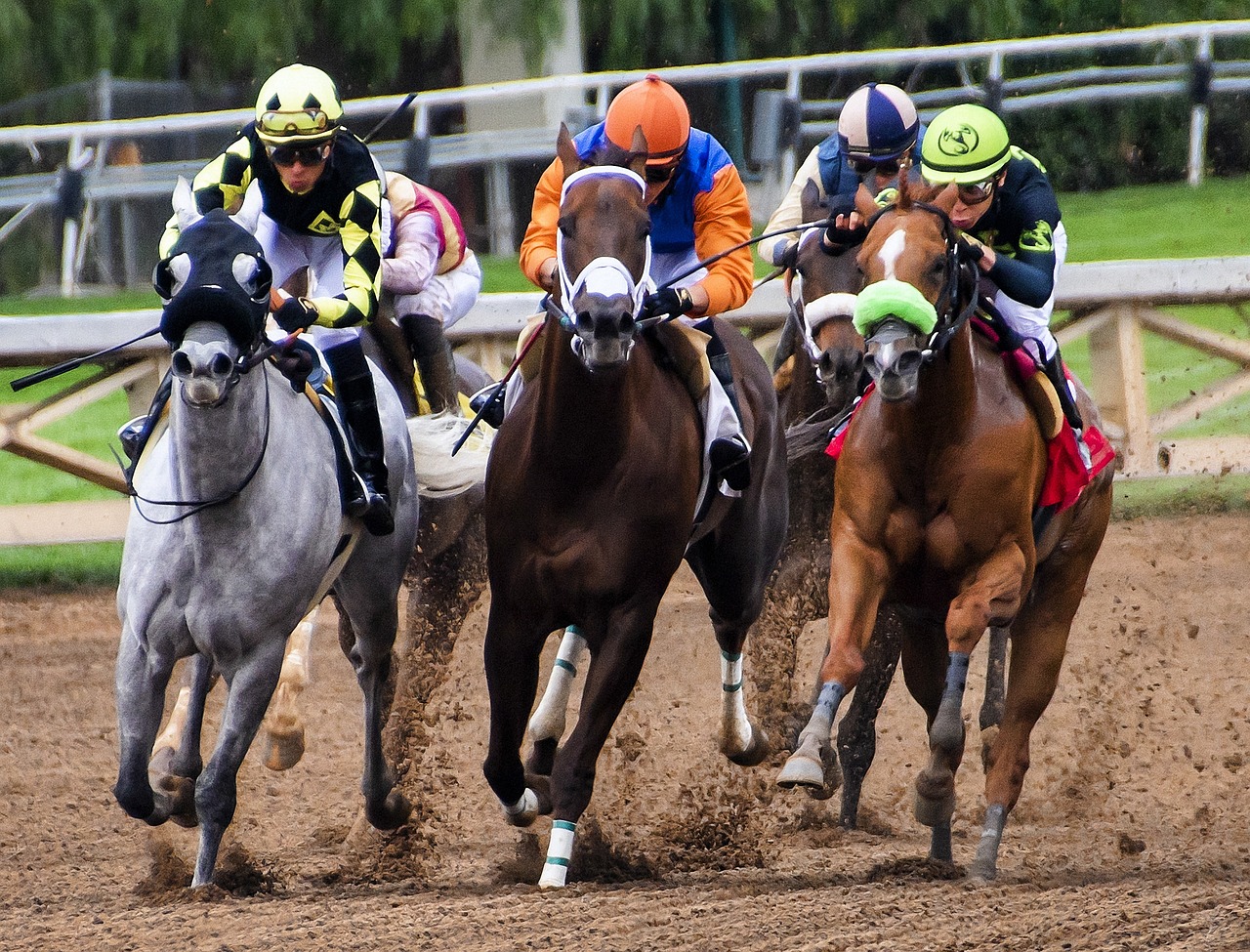 Things That Beginner Horse Bettors Are Doing Wrong